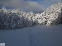 2017-12-29 V. del Morretano 046